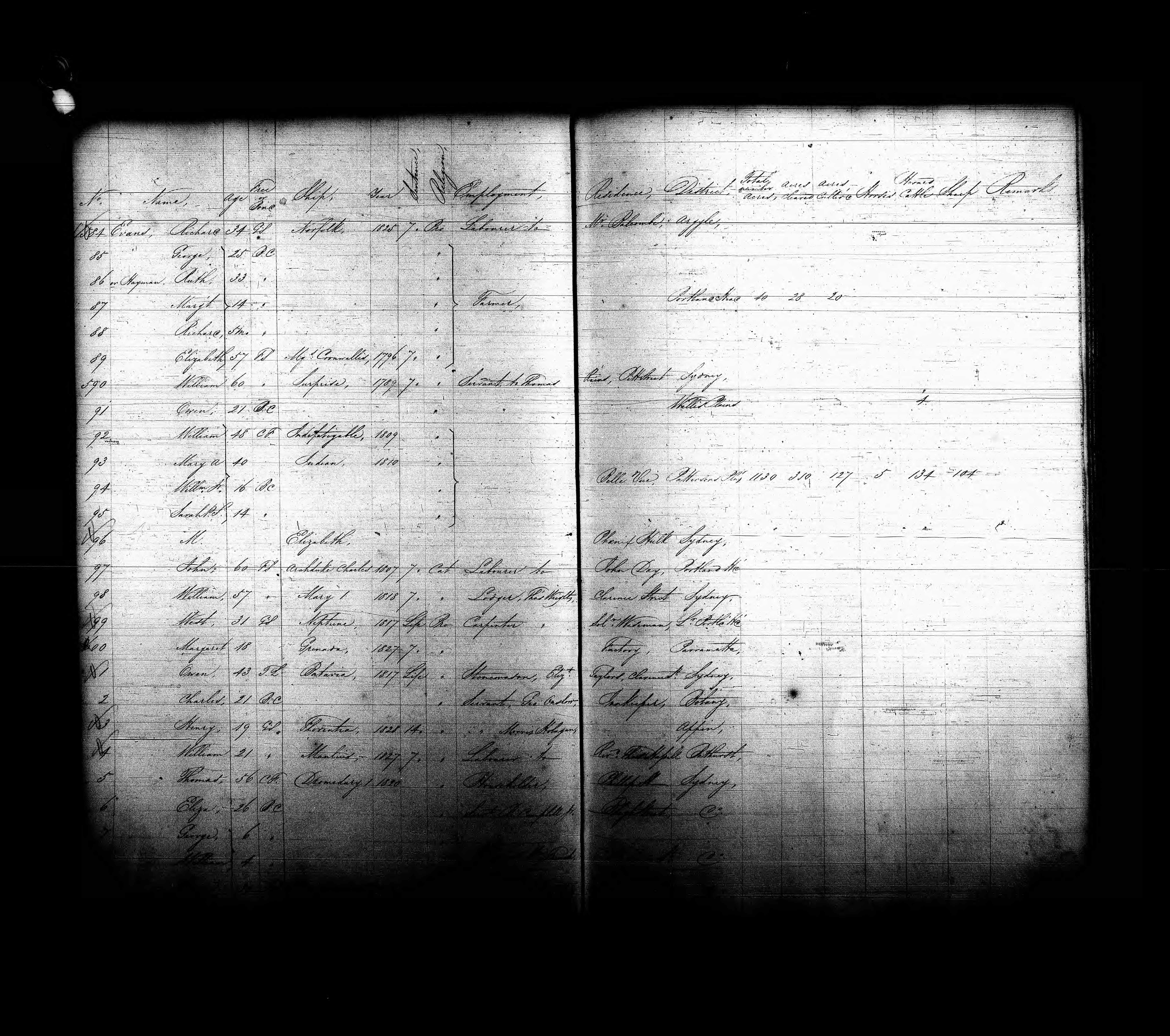 1828 New South Wales, Australia Census (Australian Copy)