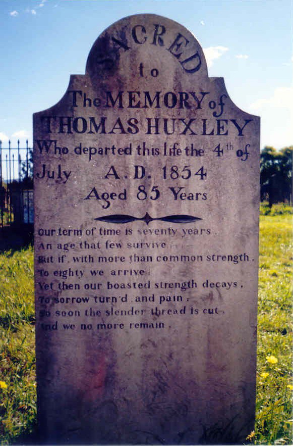 Headstone - Thomas Huxley