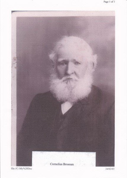 cornelius brosnan